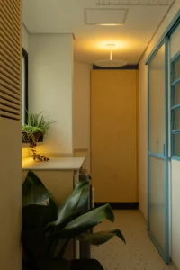 Entrance corridor with sliding blue framed glass doors, a plywood cupboard and a ceiling light
