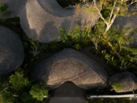 Aerial view of the shingled reception roof and neighbouring villa roofs among dense trees