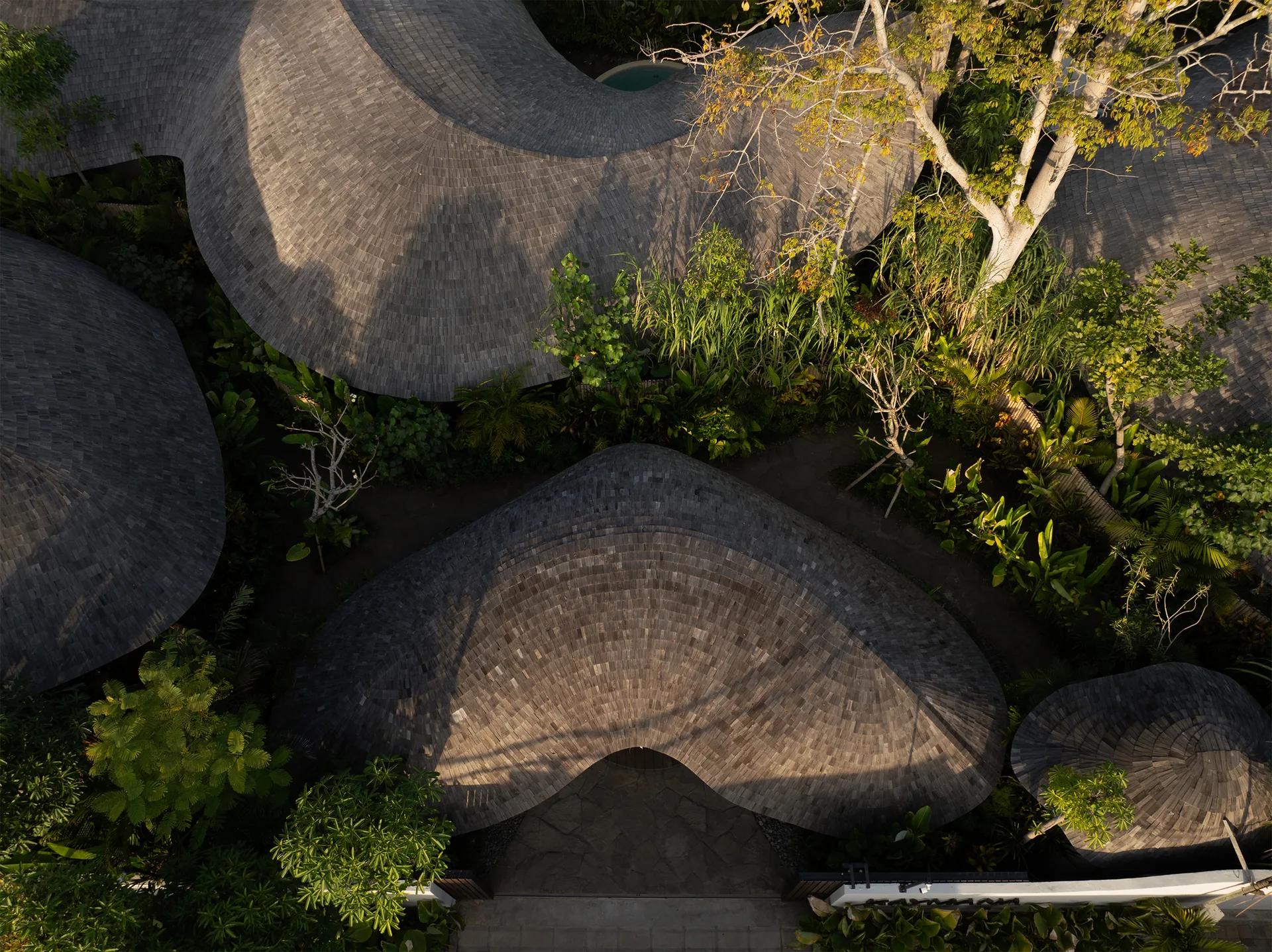 Aerial view of the shingled reception roof and neighbouring villa roofs among dense trees