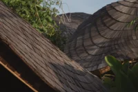 Close view of overlapping roof shingles on two curved buildings framed by tropical leaves