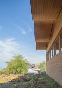Green roof planted with low native species beside the timber clad upper floor and its roof overhang, Los Navegantes House