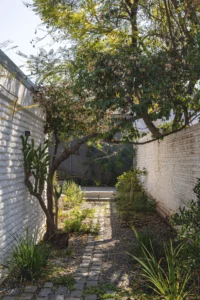 Shaded garden strip with a mature tree and grasses running between brick walls, Los Navegantes House