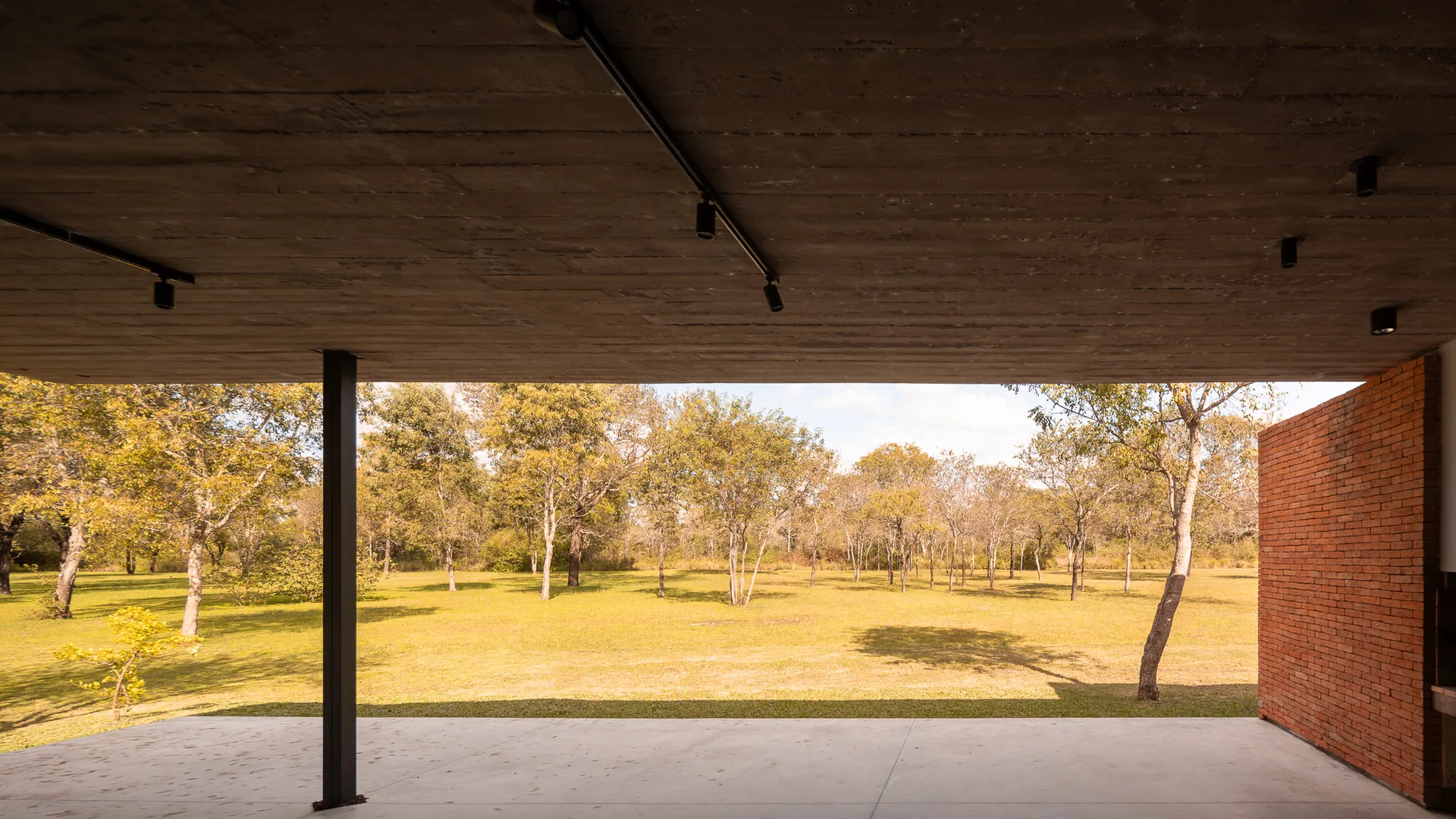 Covered gallery with a concrete soffit and a thin steel column looking out over the clearing