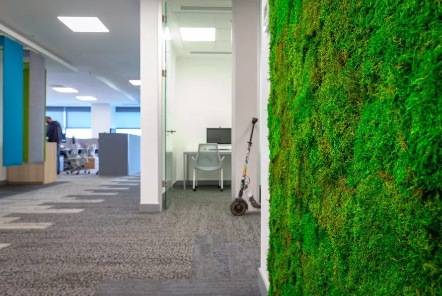 Preserved green moss wall panel beside an office corridor with glass doors