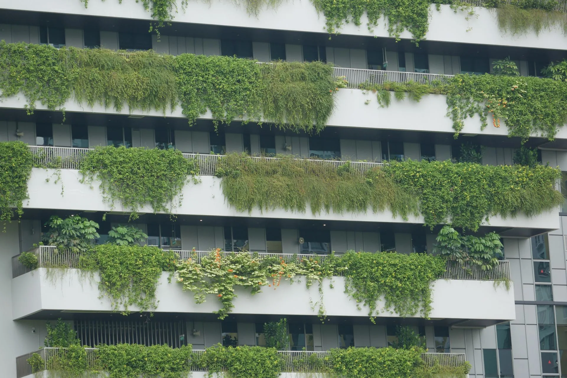 Residential building facade with planted balconies forming an exterior green wall