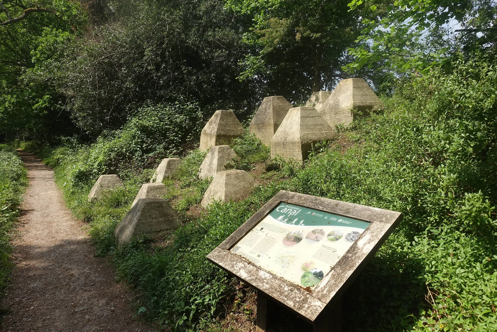 Rows of weathered concrete anti-tank blocks on a wooded bank beside a footpath and an information board