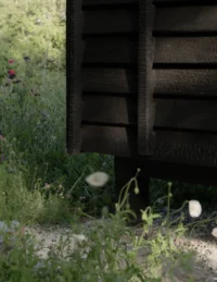 Underside of the cabin lifted off the ground on piles among tall wildflowers, The Yakisugi Cabin