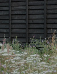White yarrow and meadow flowers in front of the charred board and batten wall, The Yakisugi Cabin