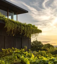 Corner of the dark facade with overhanging plants against an evening sky, Vista House by Studio Gontijo Arquitetura