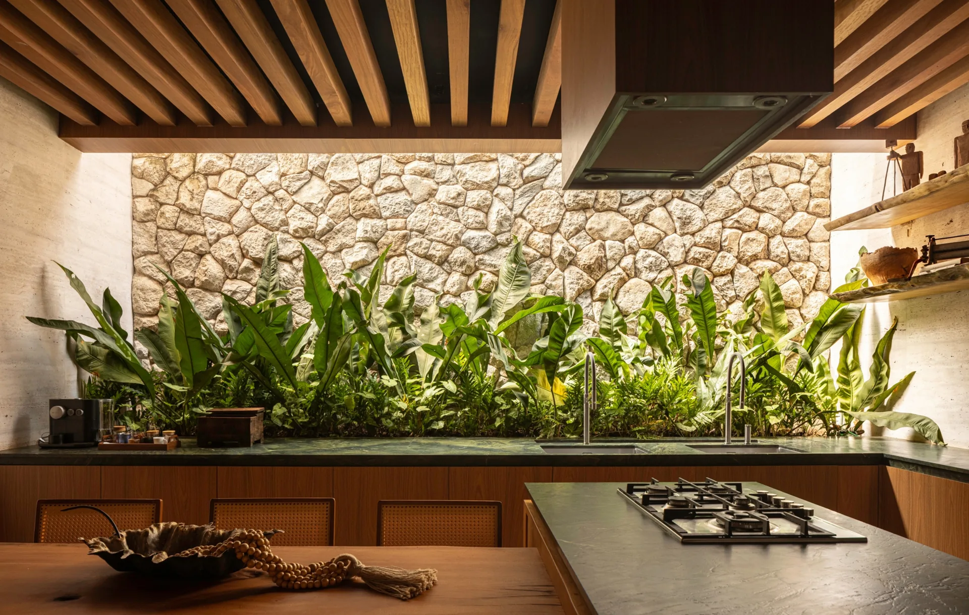 Kitchen with a dark counter and hob facing a stone wall lined with a strip of plants, Vista House by Studio Gontijo Arquitetura